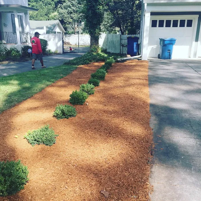 Happy Tree Landscaping LLC Picture 6