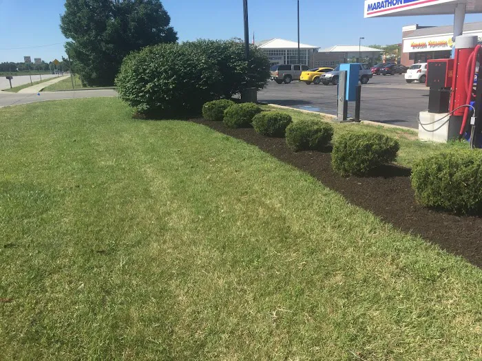 Happy Tree Landscaping LLC Picture 7