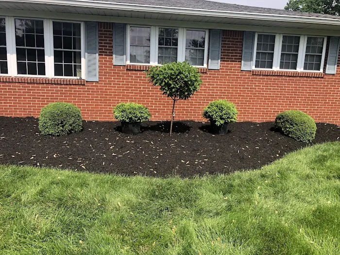 Happy Tree Landscaping LLC Picture 5