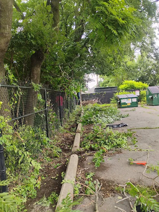Rooted Lawn & Landscape Picture 5