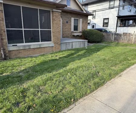 Rooted Lawn & Landscape