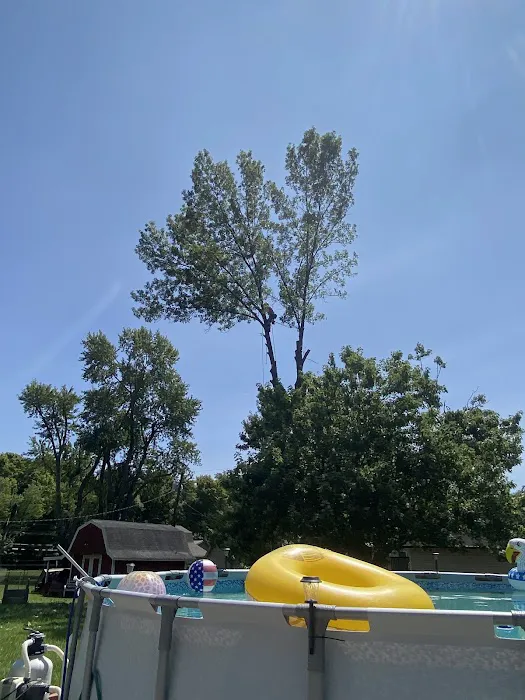 Andy's Tree & Landscape Picture 1