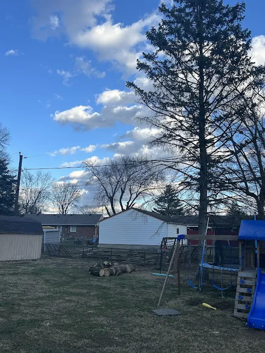 Andy's Tree & Landscape Picture 3