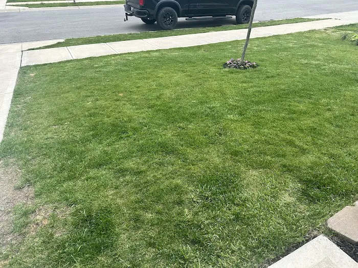 Blue Duck Lawn Care Picture 7
