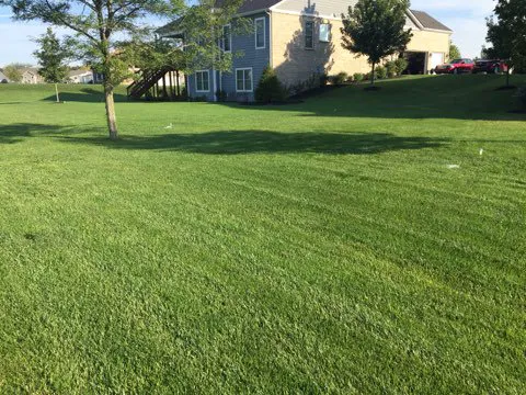 Setser Property Services Picture 8