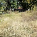 Griffith Lawn & Garden Services