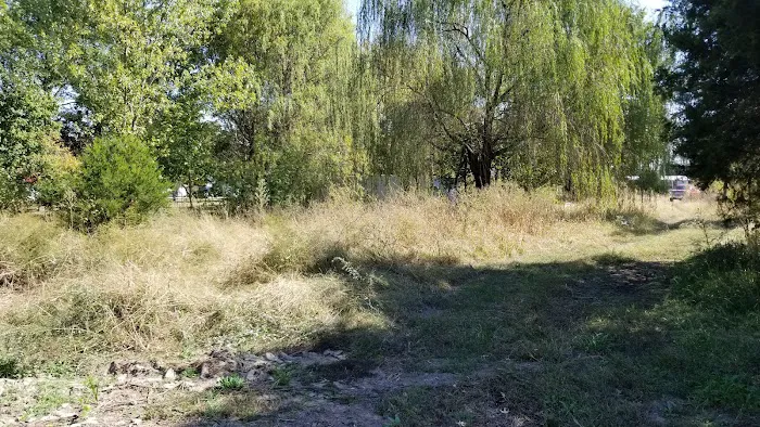 Griffith Lawn & Garden Services Picture 9