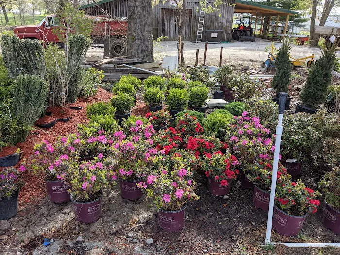 Parkhurst Landscape Picture 6
