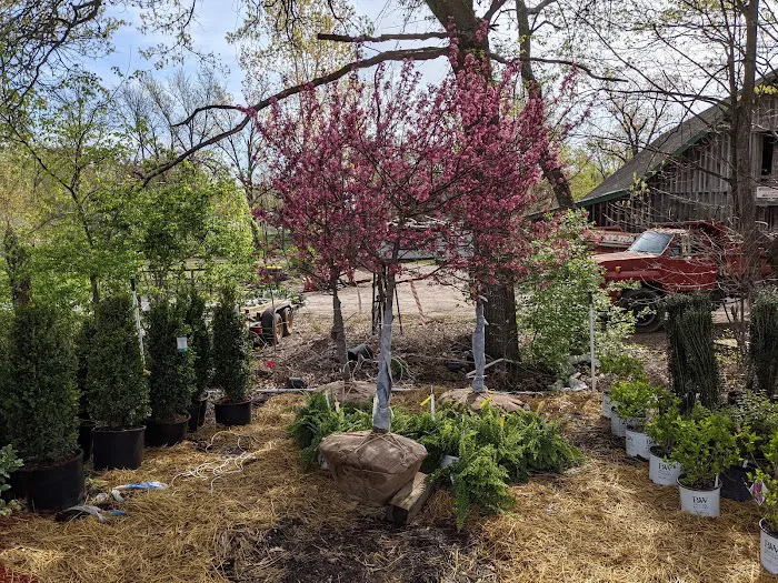 Parkhurst Landscape Picture 4