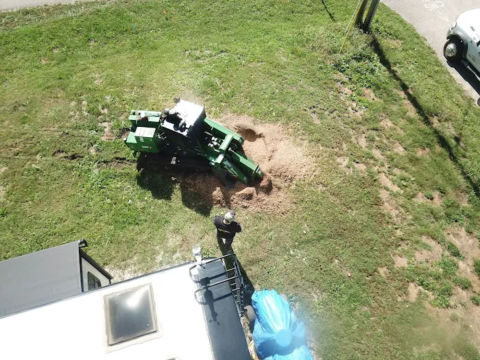 Lone Tree, LLC Picture 10