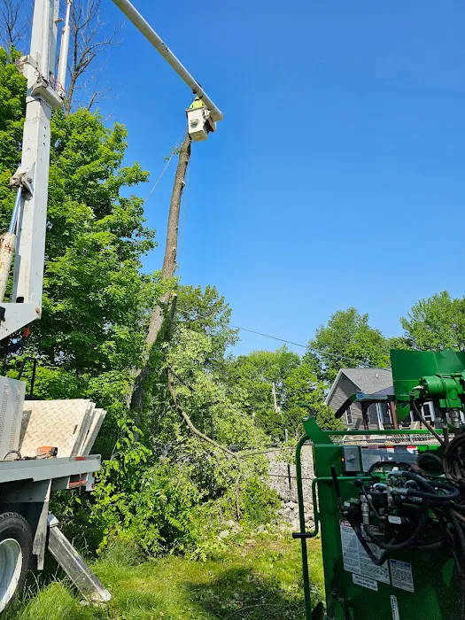 Lone Tree, LLC Picture 4