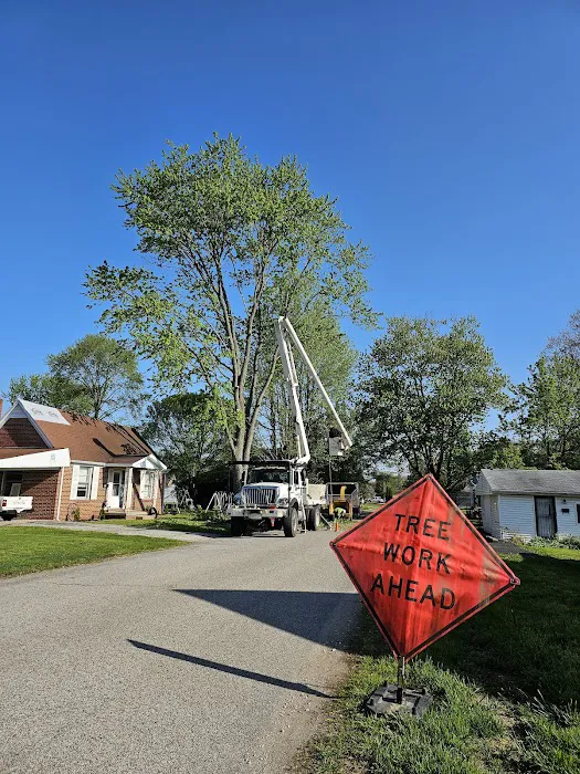 Lone Tree, LLC Picture 6