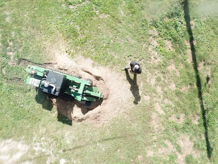 Lone Tree, LLC Picture 3
