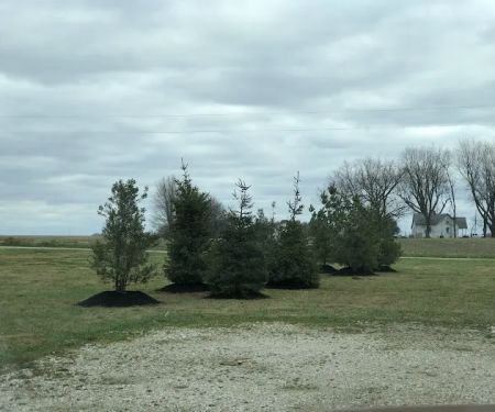 Landscapes by Dallas Foster Inc.