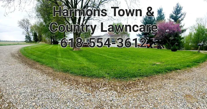 Town & Country Lawncare & Landscaping Picture 1