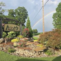 Nature By Design Landscapes Inc ico