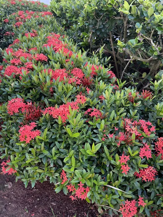 Premier Landscape & Design Picture 2