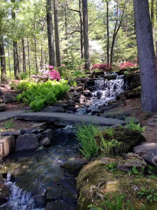 Premier Landscape & Design Picture 7