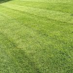Easier Grounds Management