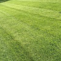 Easier Grounds Management ico