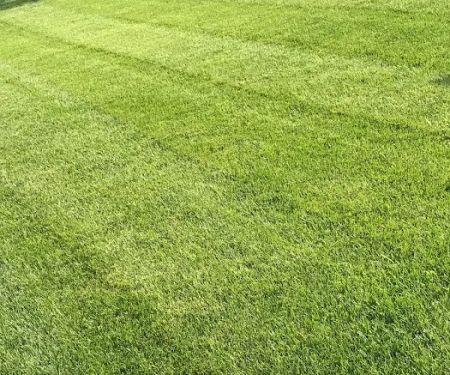 Easier Grounds Management