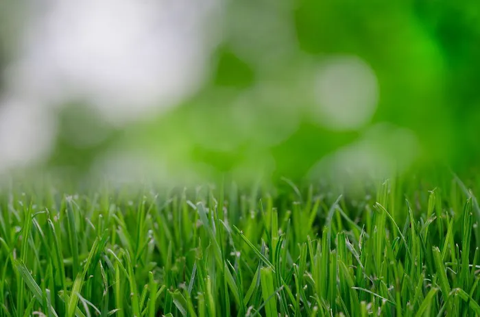 Easier Grounds Management Picture 5