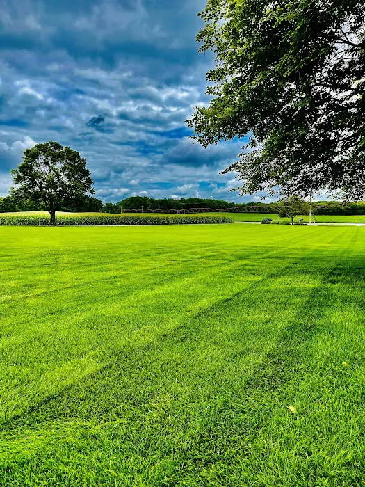 Williams Lawn & Landscaping/Snow Removal Picture 10