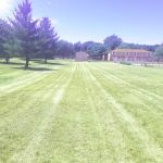 Williams Lawn & Landscaping/Snow Removal