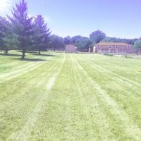 Williams Lawn & Landscaping/Snow Removal ico
