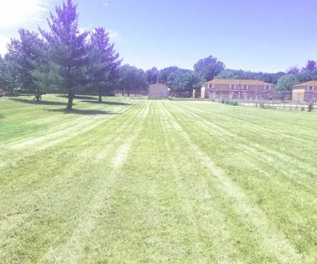 Williams Lawn & Landscaping/Snow Removal