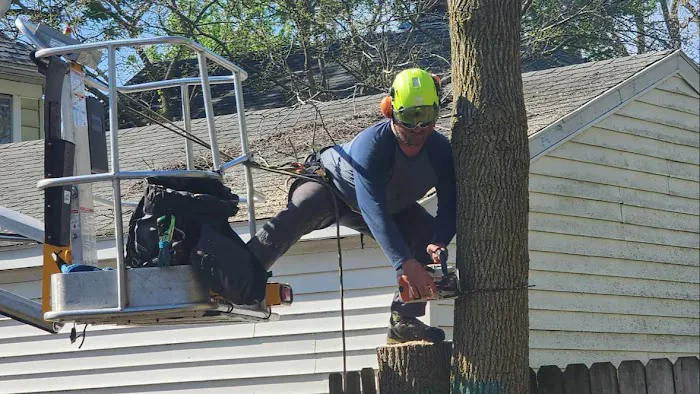 Michiana Tree Service Picture 2