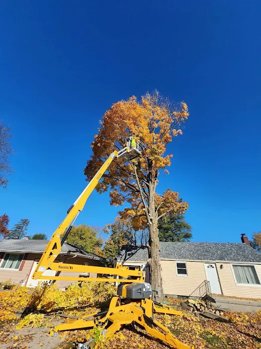 Michiana Tree Service Picture 1