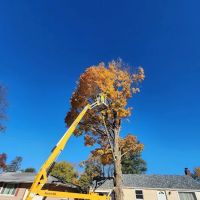 Michiana Tree Service ico