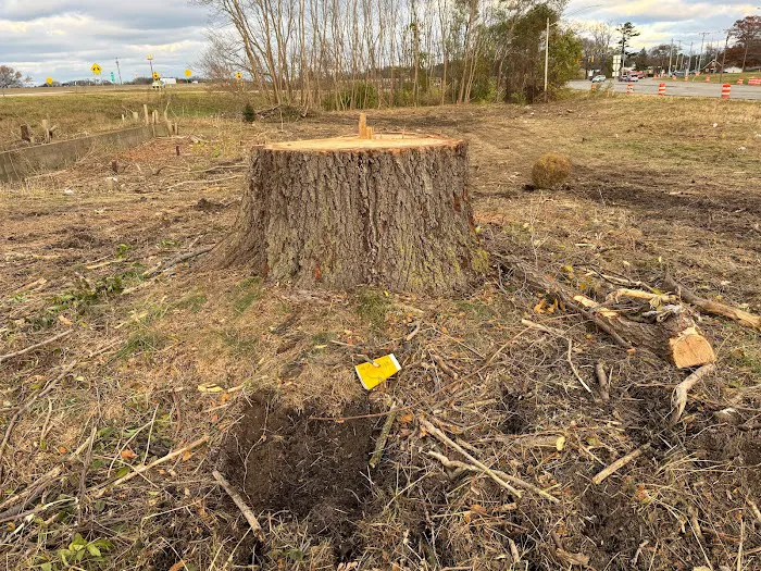 Michiana Tree Service Picture 7