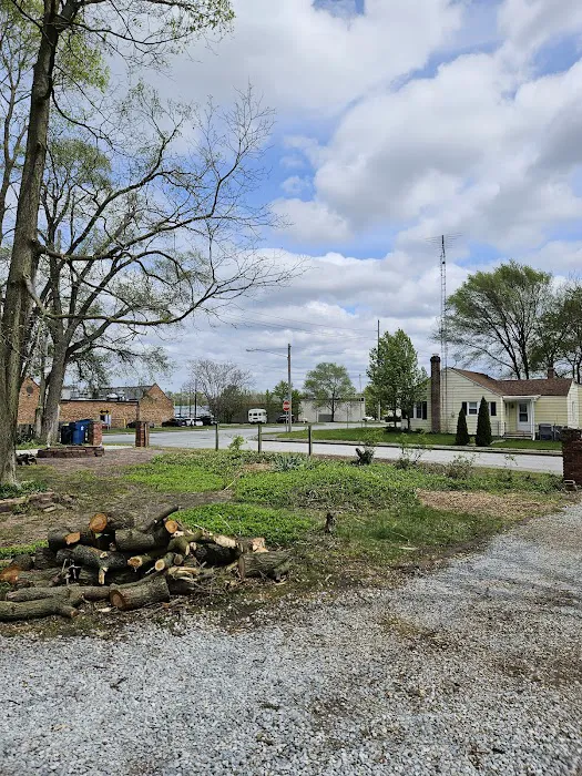 Michiana Tree Service Picture 8