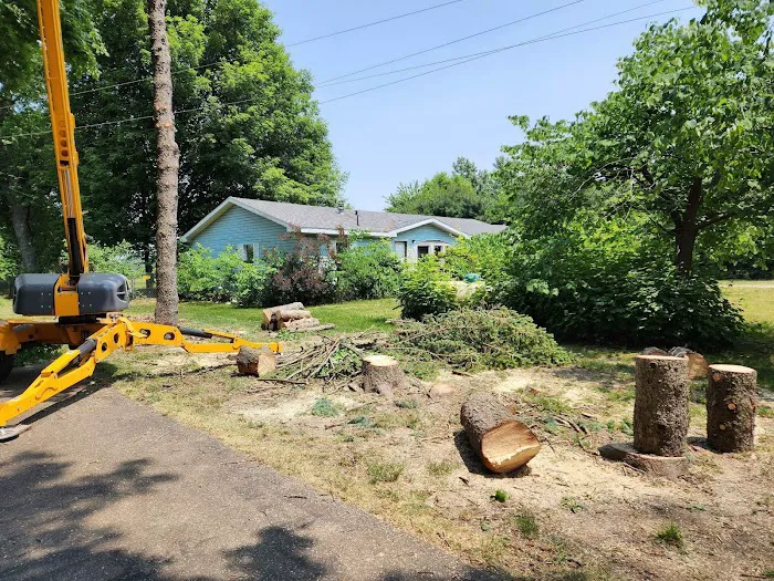 Michiana Tree Service Picture 10