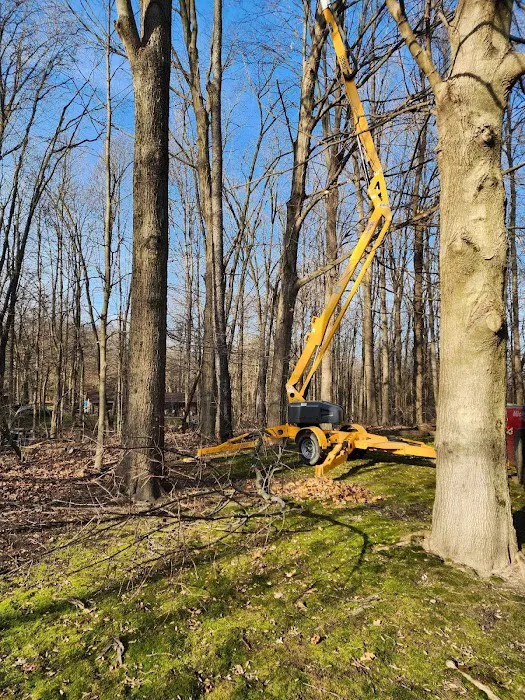 Michiana Tree Service Picture 6