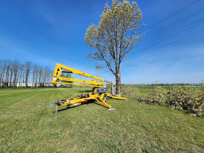 Michiana Tree Service Picture 4