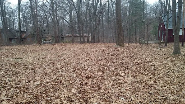 M & J Lawn Care Picture 10