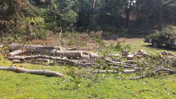 M & J Lawn Care Picture 9