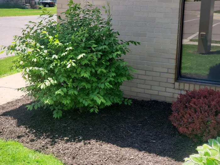 Driscoll Lawn Care Picture 2
