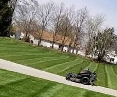 Driscoll Lawn Care