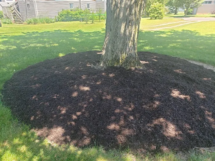 Driscoll Lawn Care Picture 7