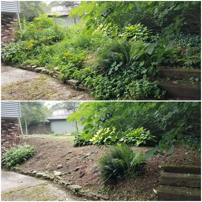 Green Thumb Lawns Picture 1