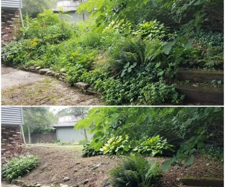 Green Thumb Lawns