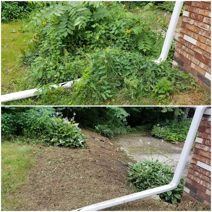 Green Thumb Lawns Picture 8