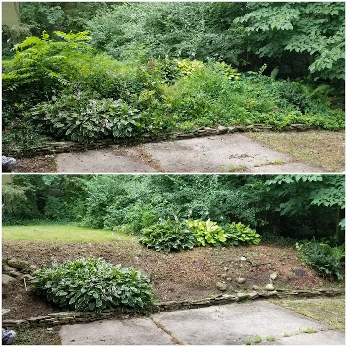 Green Thumb Lawns Picture 4