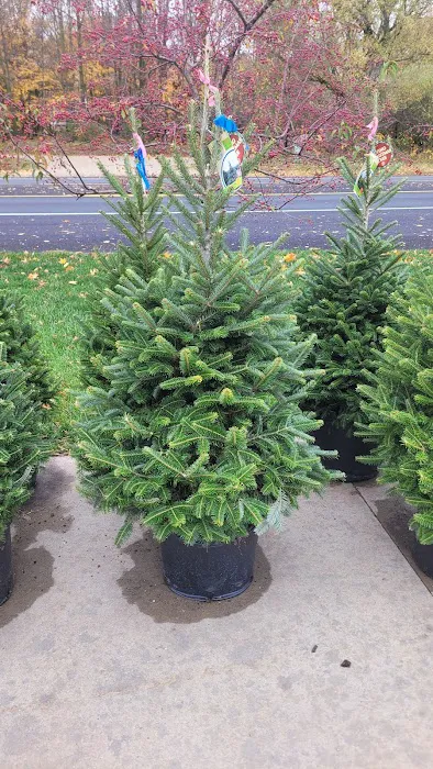 Mattawan Landscaping Supply Picture 4
