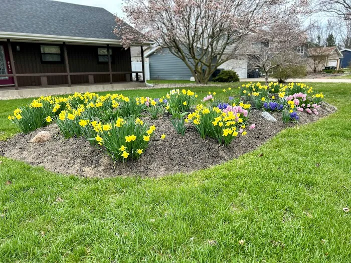 Hacienda Landscaping Co LLC Picture 7