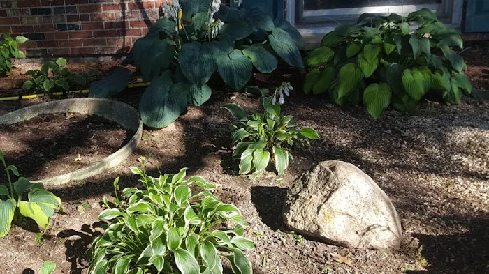 Greenscape's Lawn Maintenance and Landscaping LLC. Picture 7